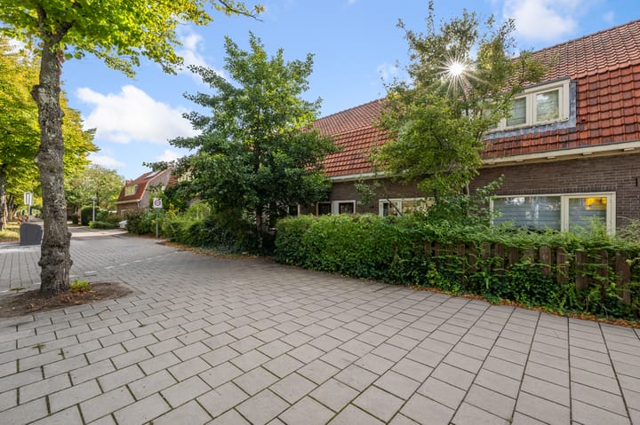 Foto 49 van Kometensingel 313