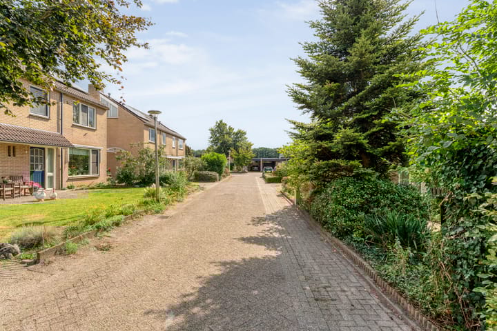 Foto 42 van Mercuriuslaan 5