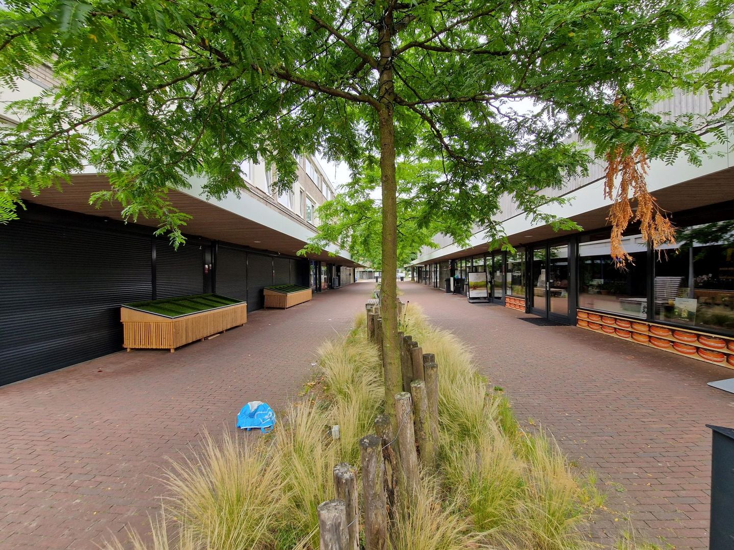 View photo 4 of Paletplein 5