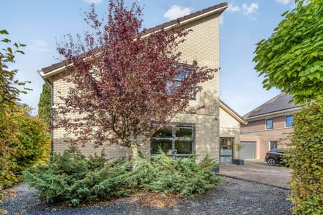 Frisia 24 secondary image