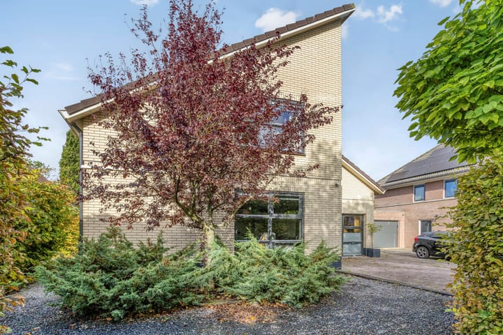 Foto 2 van Frisia 24