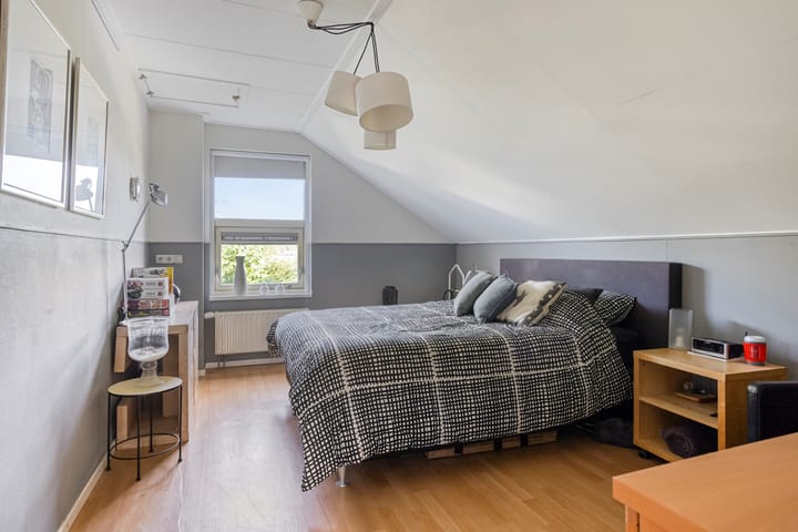 Foto 41 van Frisia 24