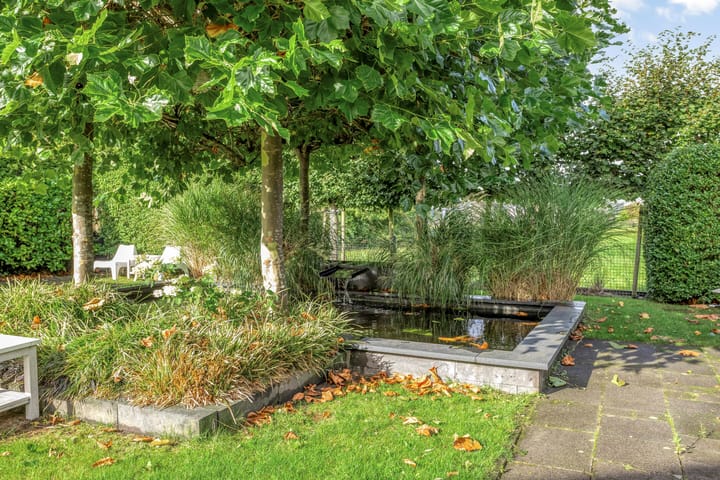 Foto 49 van Frisia 24