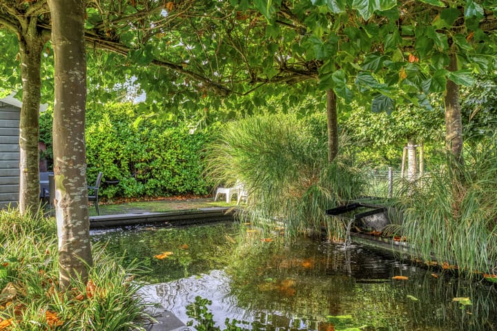 Foto 50 van Frisia 24