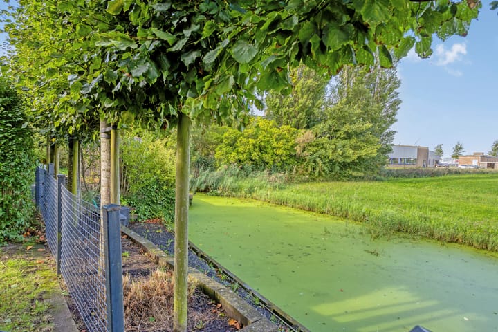 Foto 61 van Frisia 24