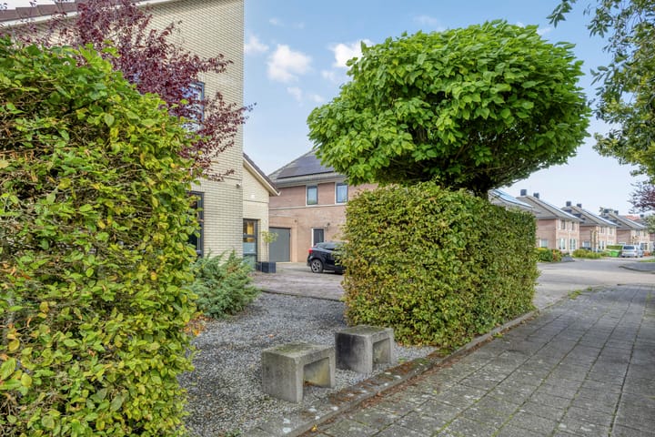 Foto 64 van Frisia 24