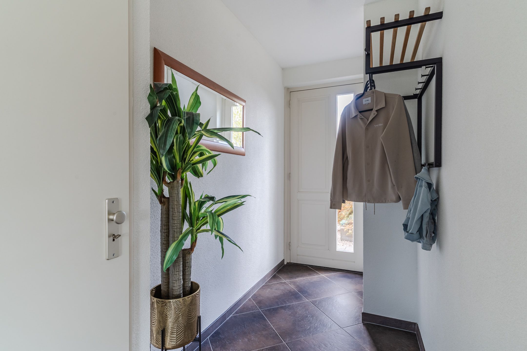 Foto 6 van Balisboom 11