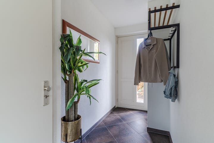 Photo 6 of Balisboom 11