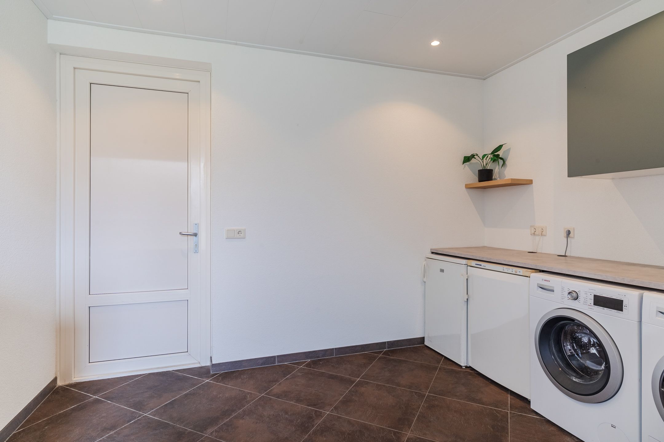 Foto 21 van Balisboom 11