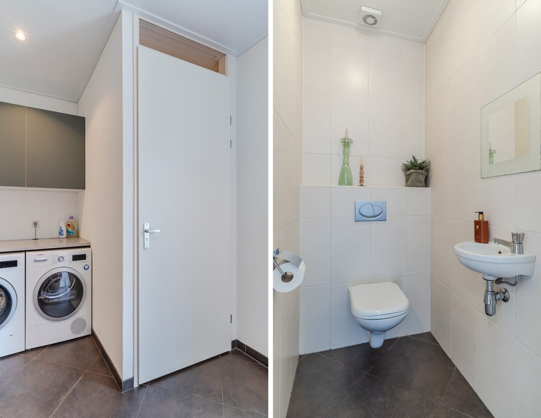 Foto 23 van Balisboom 11