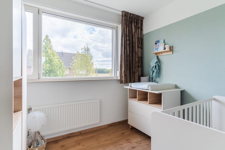 Photo 31 of Balisboom 11