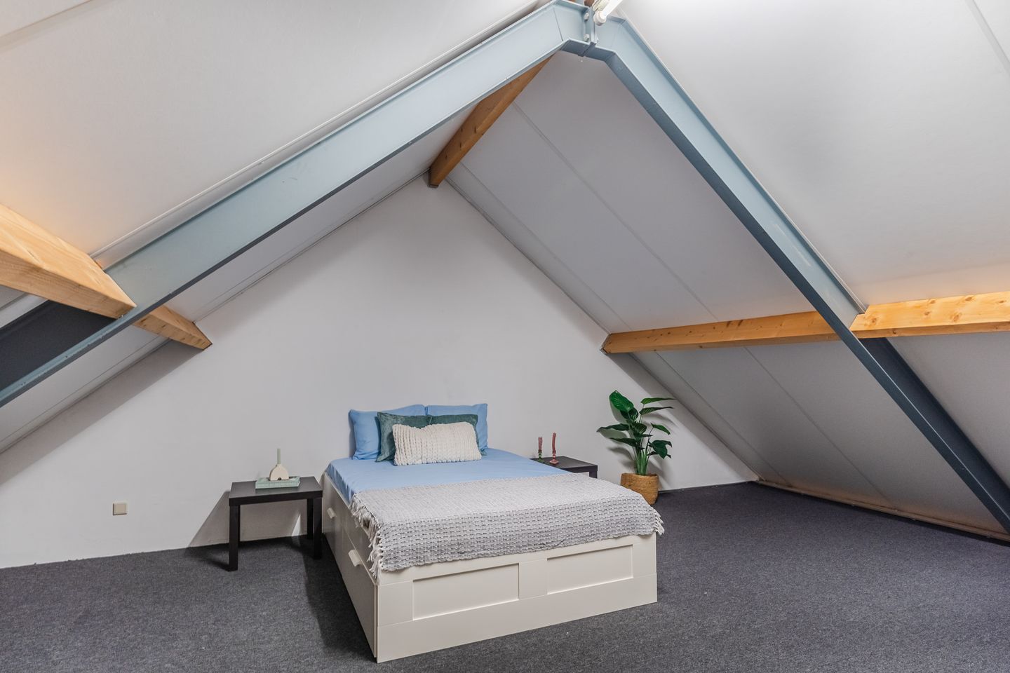 Foto 40 van Balisboom 11