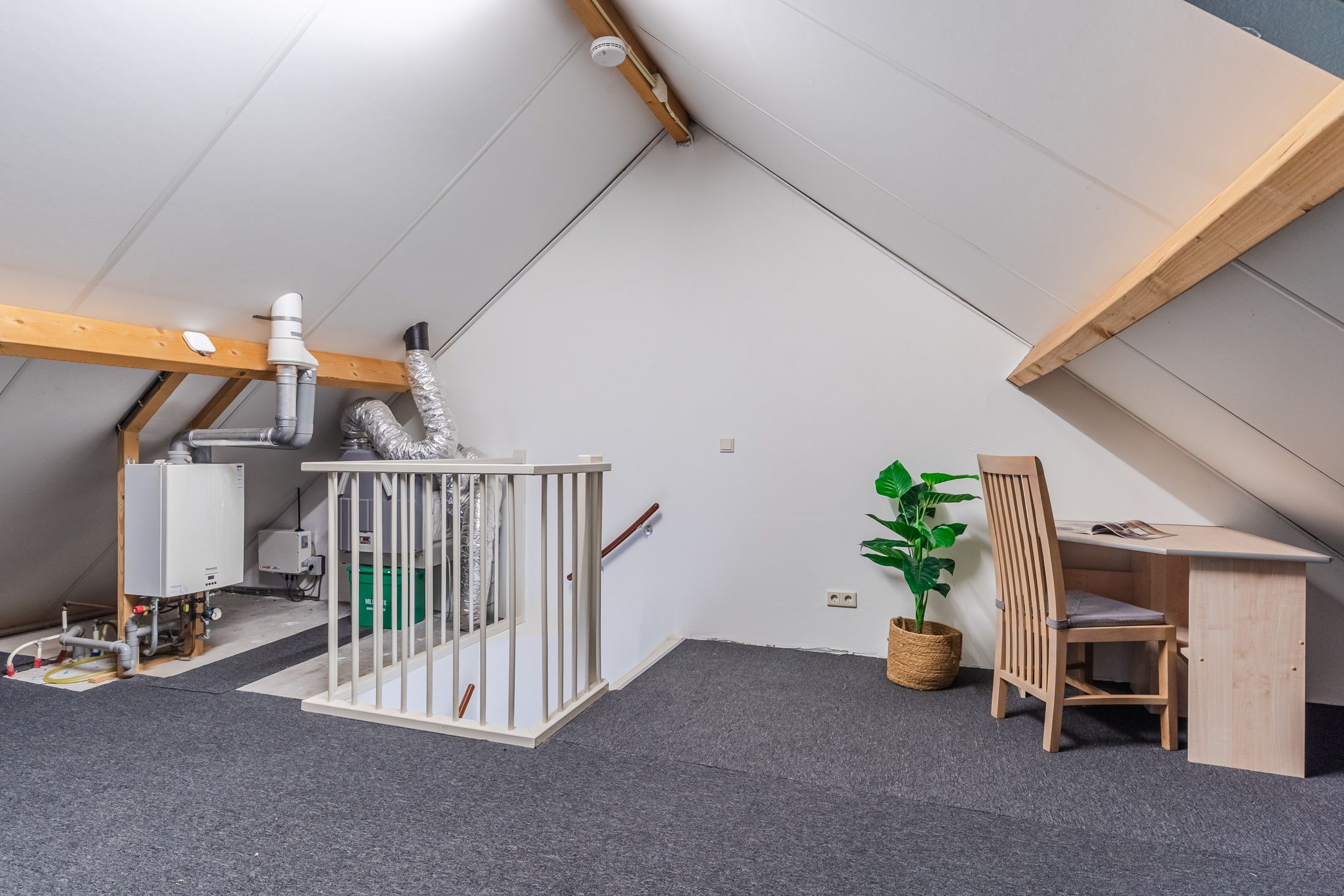 Foto 42 van Balisboom 11