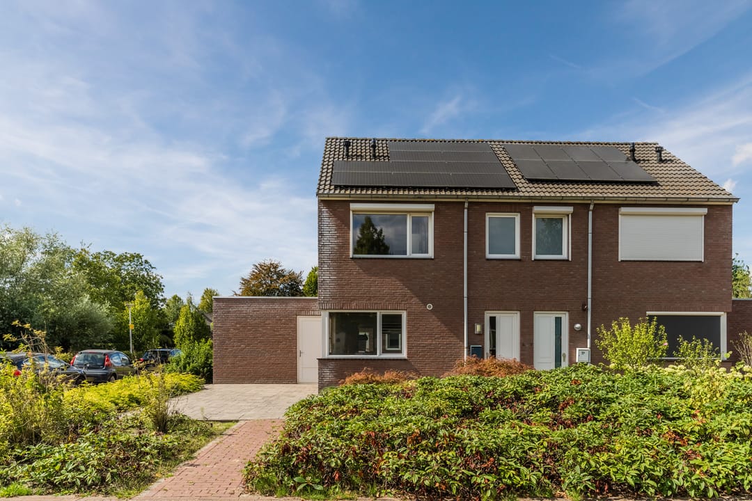 Foto 62 van Balisboom 11