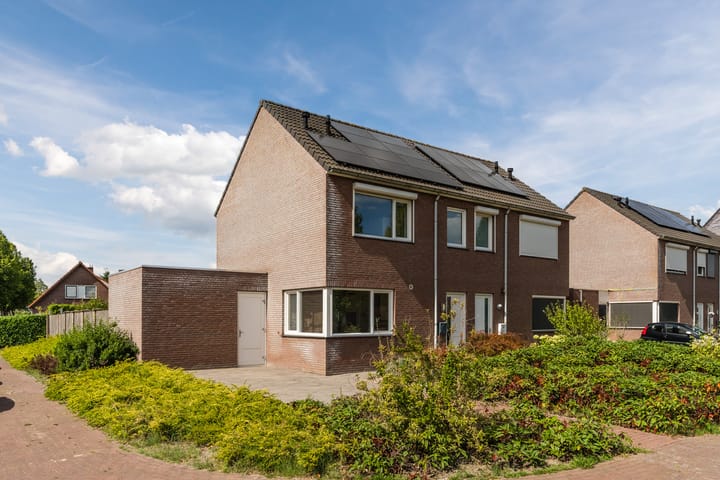 Photo 63 of Balisboom 11