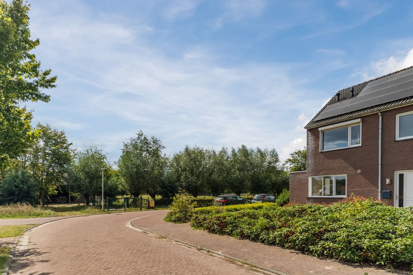 Foto 65 van Balisboom 11