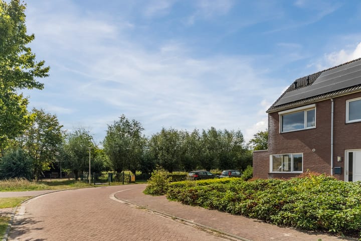 Photo 65 of Balisboom 11