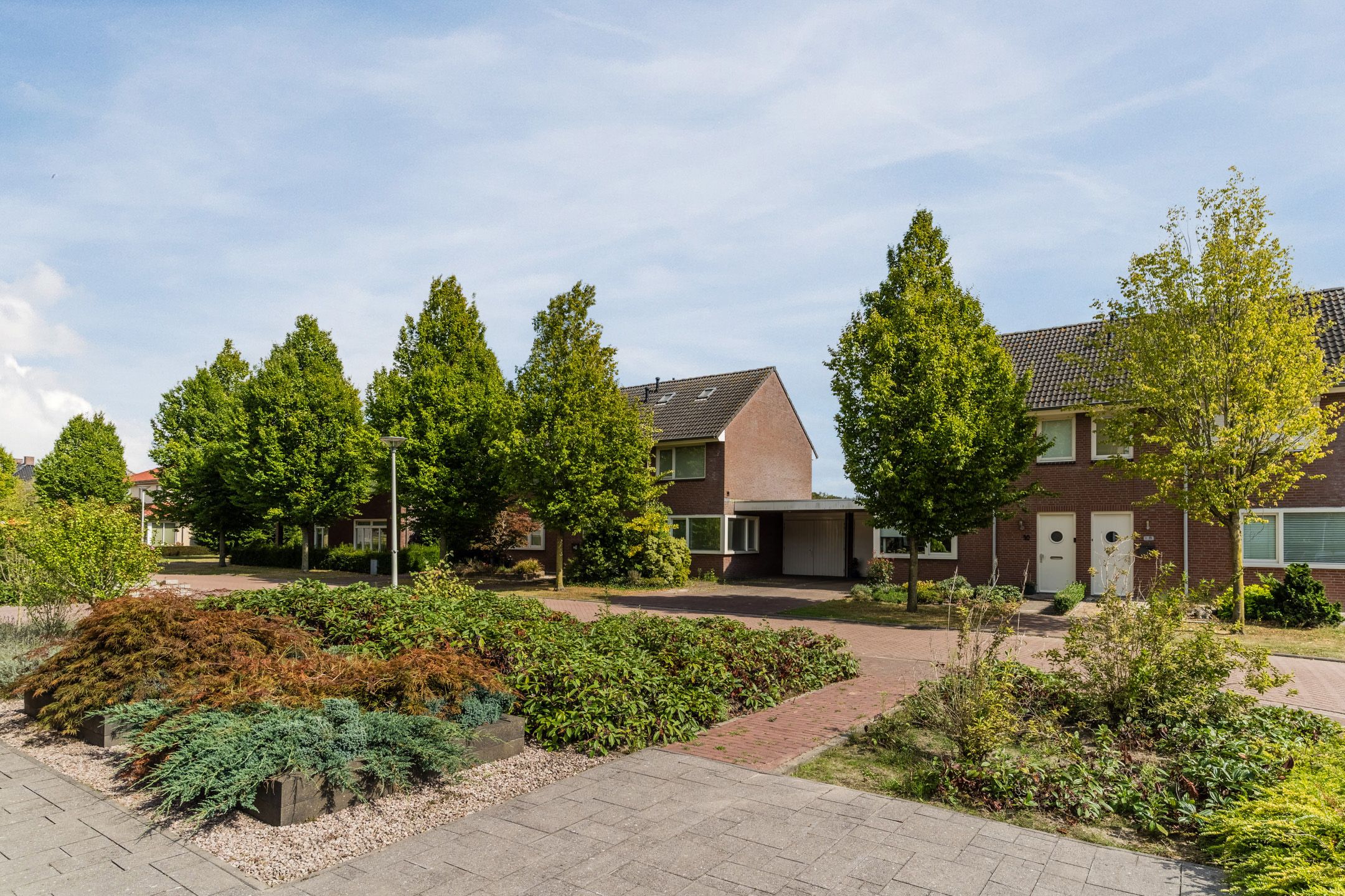 Foto 66 van Balisboom 11