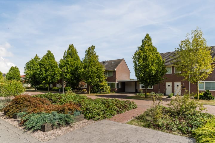 Photo 66 of Balisboom 11