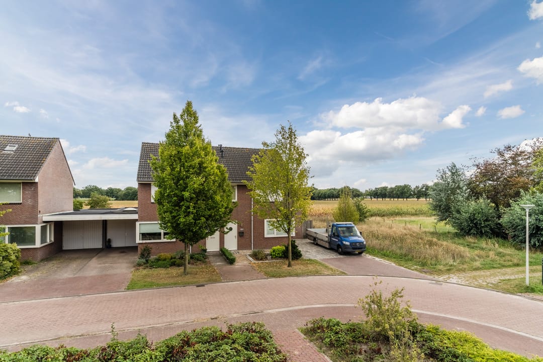 Foto 67 van Balisboom 11