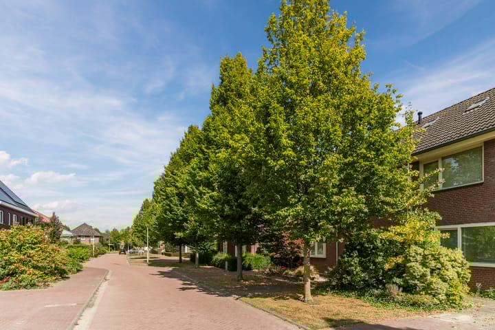 Photo 68 of Balisboom 11