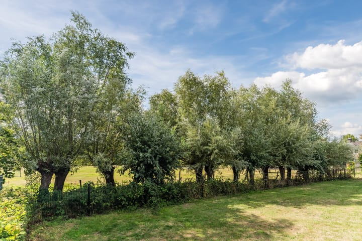 Photo 69 of Balisboom 11