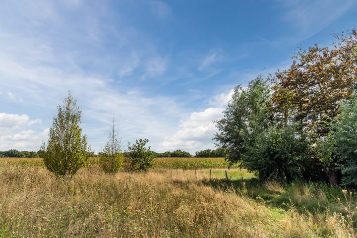 Photo 70 of Balisboom 11