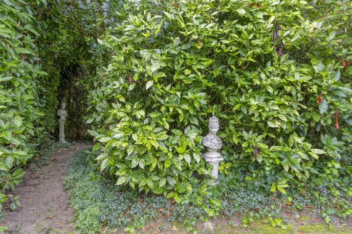 Foto 70 van Eemsstraat 26