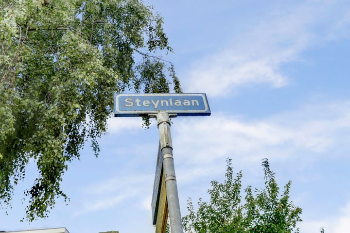 Photo 45 of Steynlaan 41