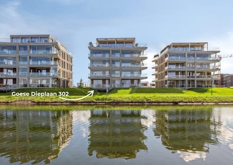 Goese Dieplaan thumbnail