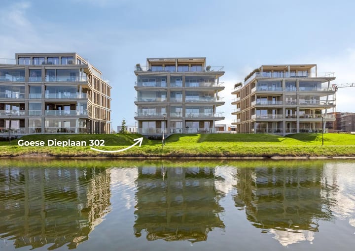 Goese Dieplaan 302