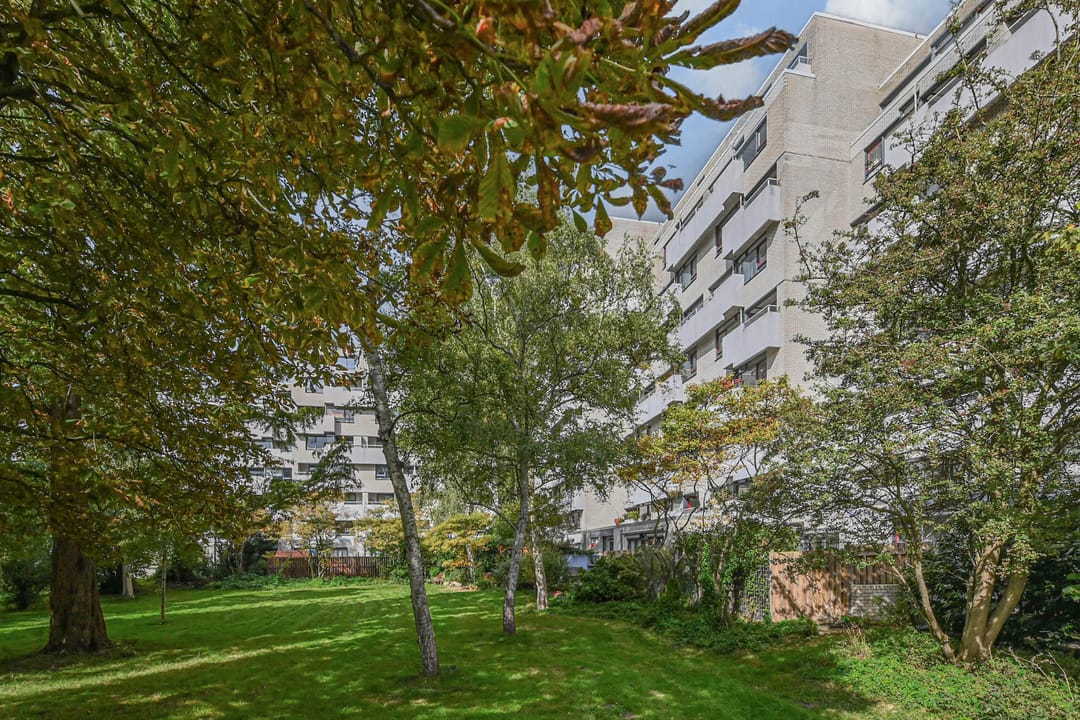 Foto 1 van De Haar 129