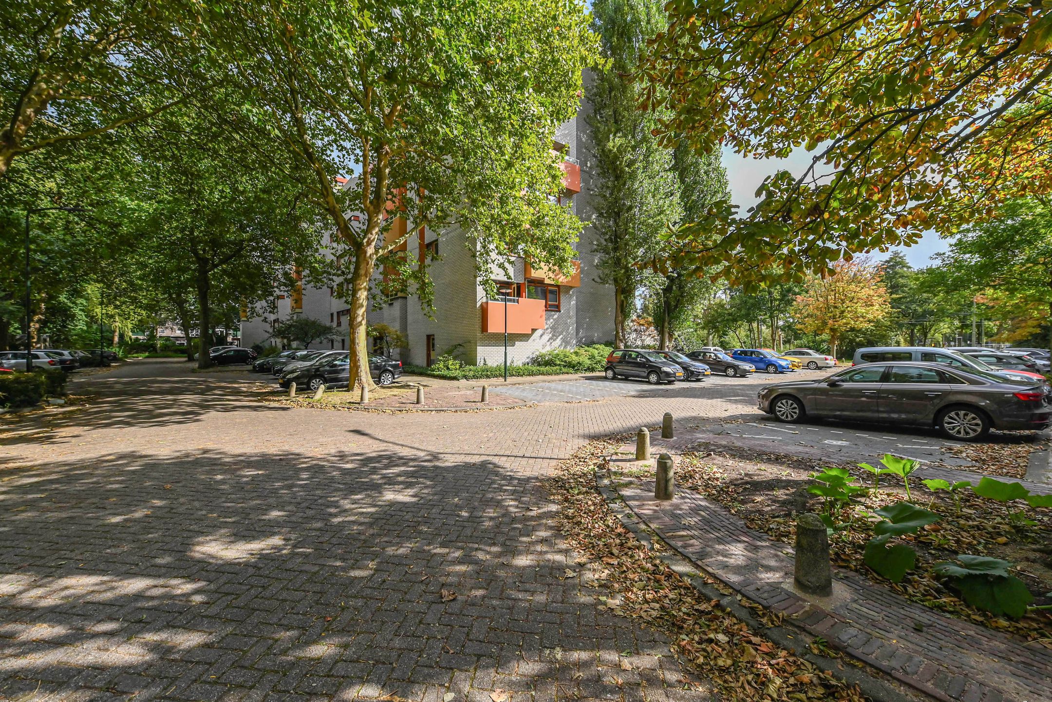 Foto 39 van De Haar 129