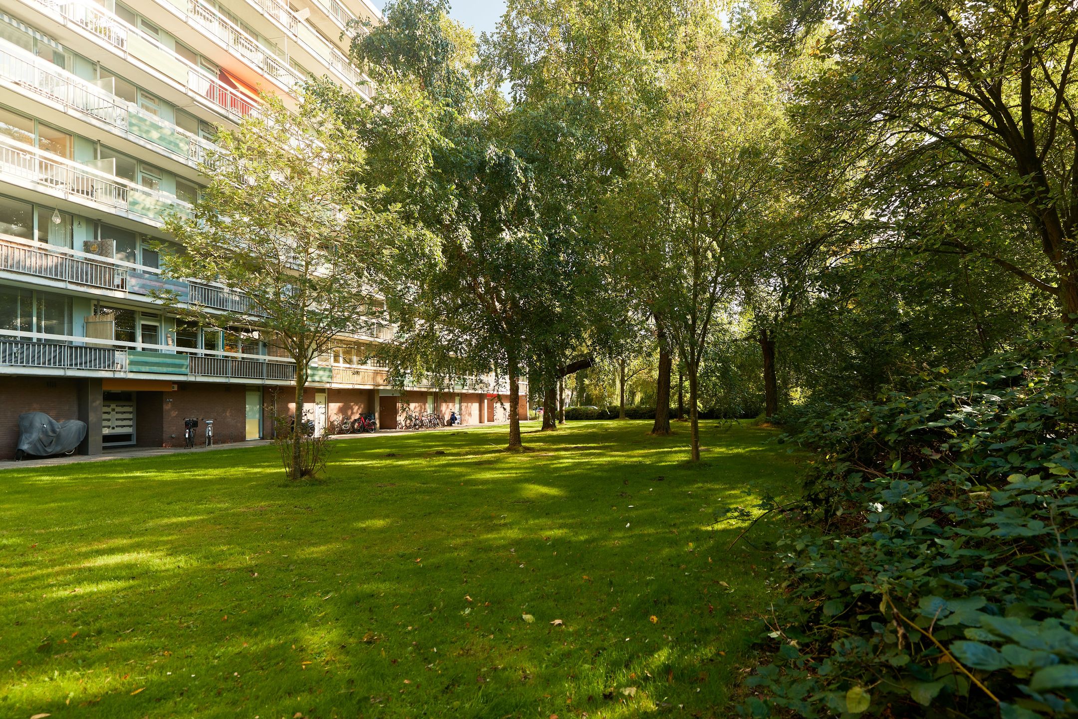 Foto 45 van Zangvogelweg 70