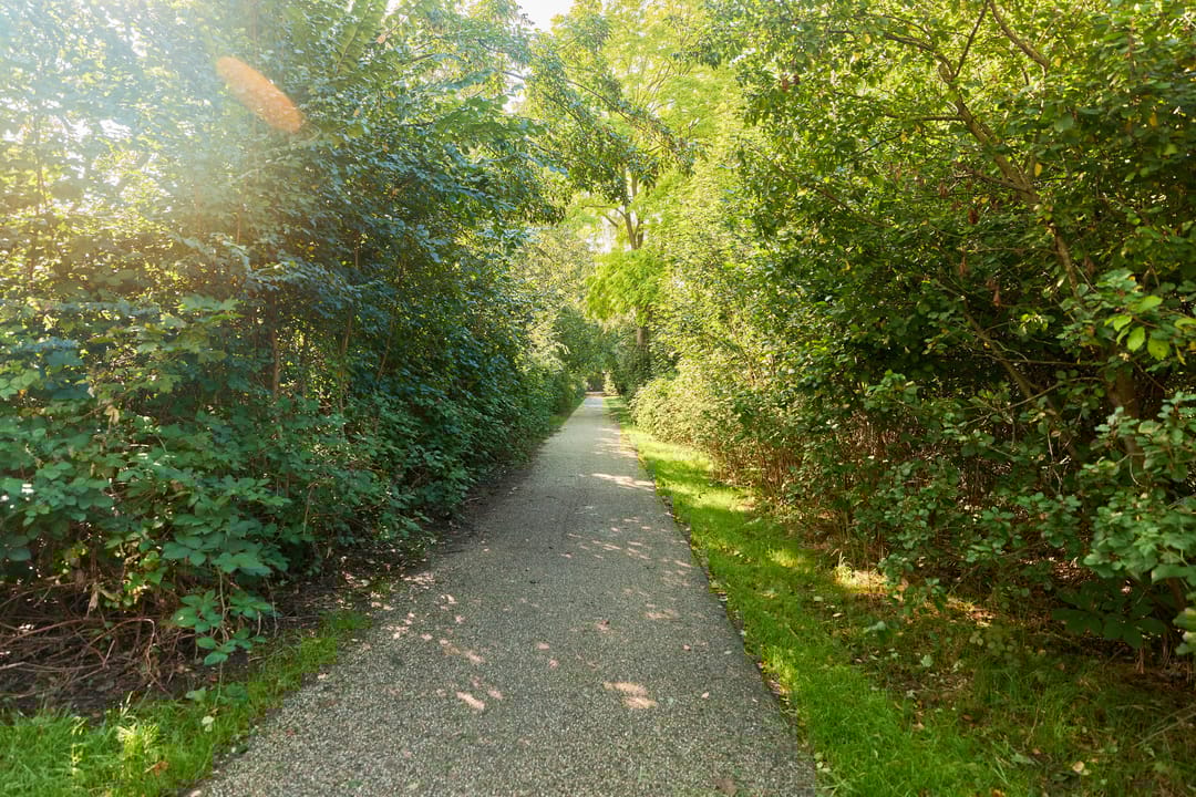 Foto 46 van Zangvogelweg 70