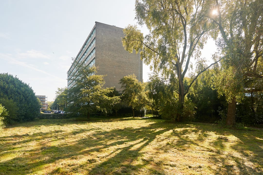 Foto 47 van Zangvogelweg 70