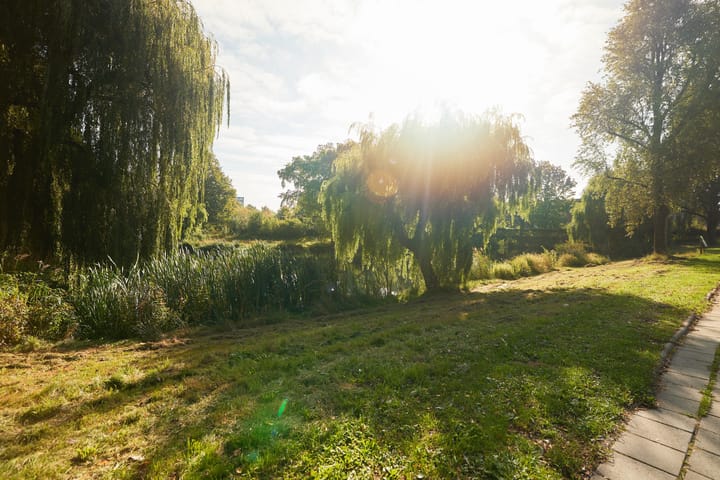 Foto 48 van Zangvogelweg 70