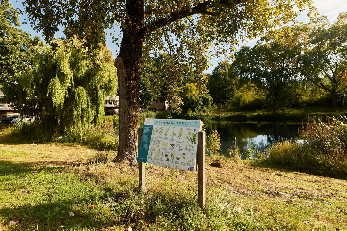 Foto 49 van Zangvogelweg 70