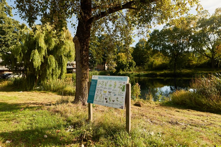 Foto 49 van Zangvogelweg 70