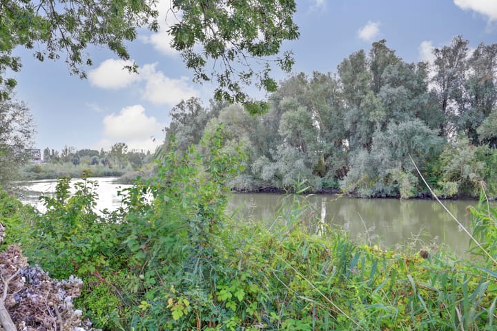 Photo 19 of Generaal S.H. Spoorstraat 297