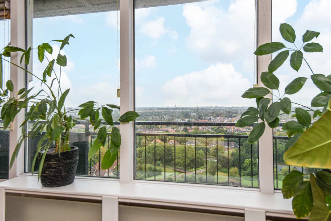 Foto 22 van Rodelaan 377