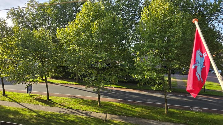 Photo 8 of Dillenburg 320