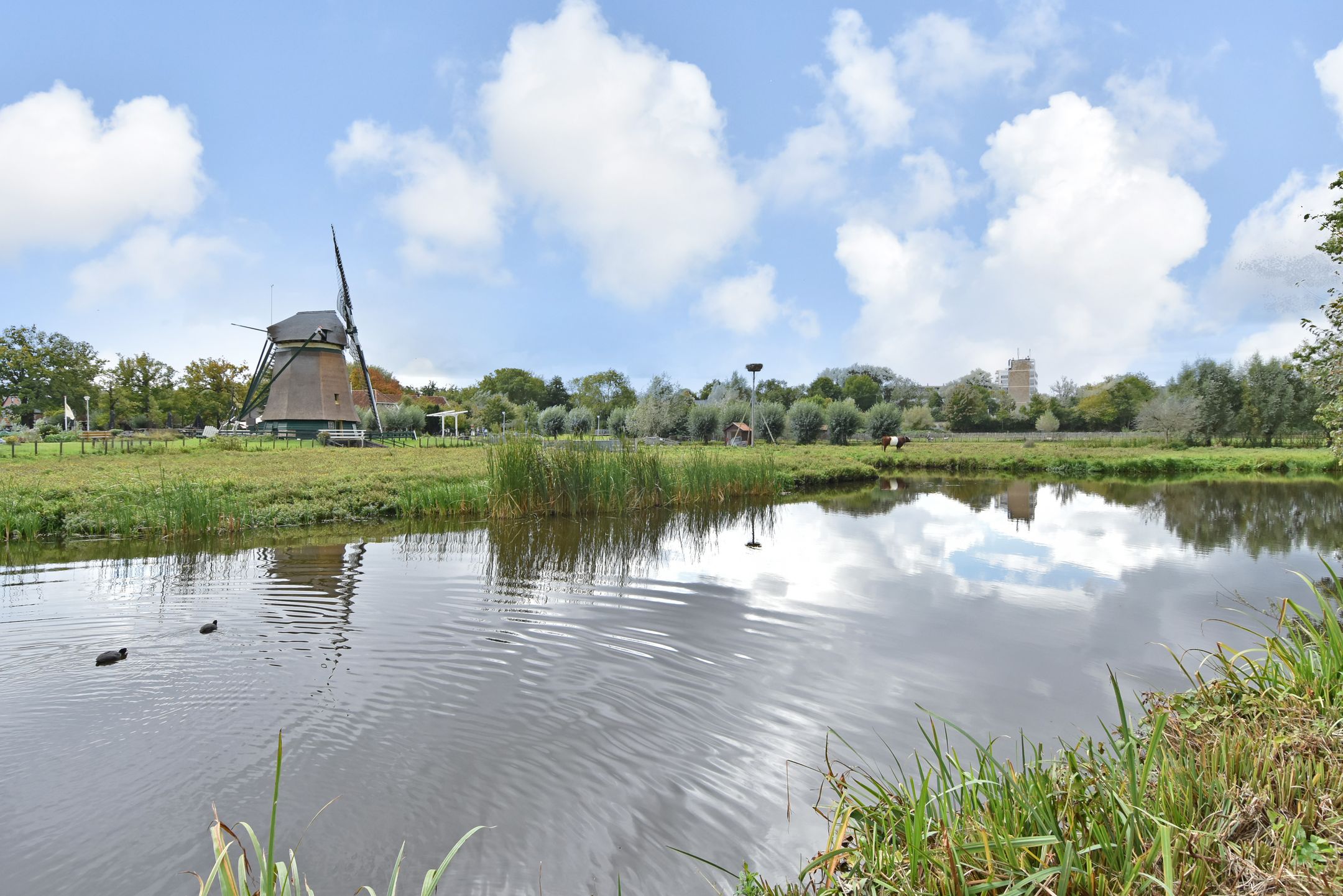 Foto 48 van Rodelaan 377