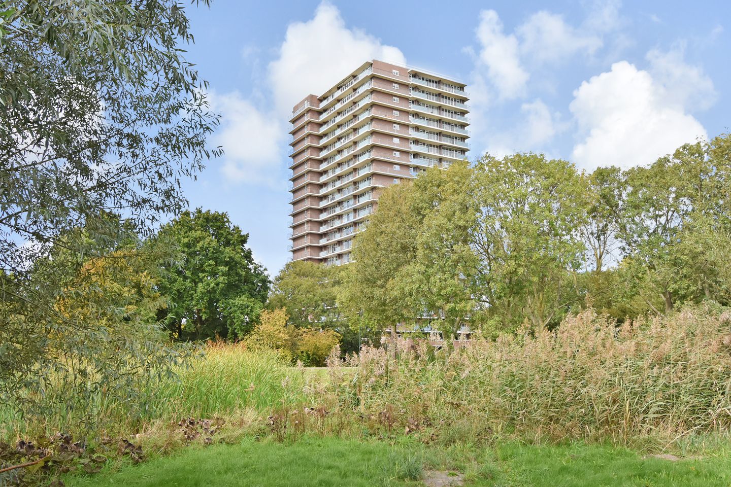 Foto 50 van Rodelaan 377