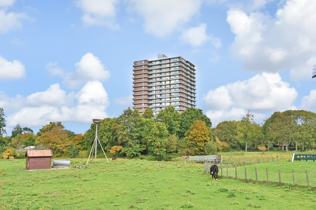 Foto 52 van Rodelaan 377