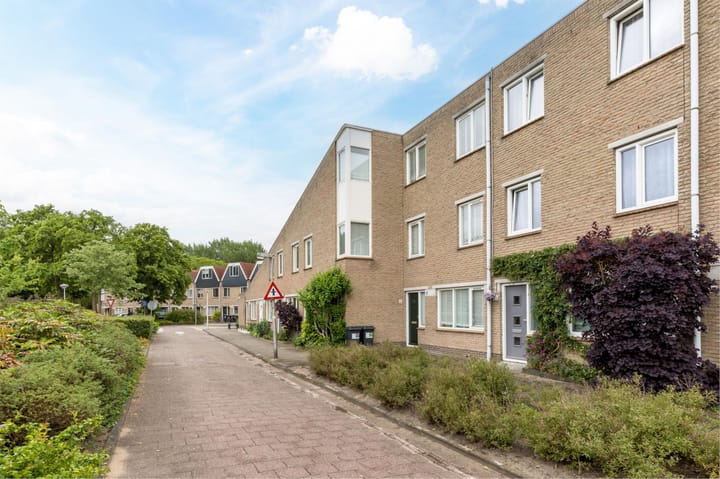 Foto 2 van Polderland 42