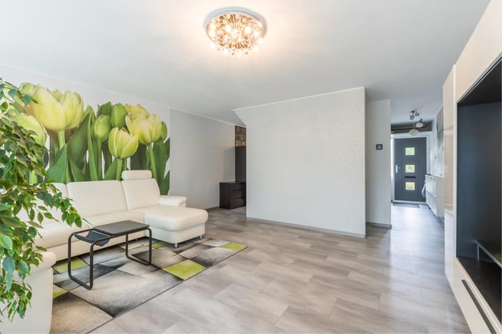 Foto 11 van Polderland 42