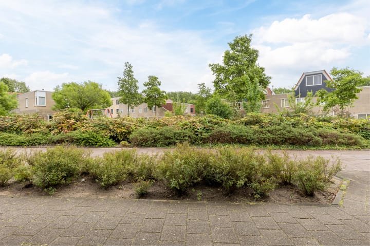 Foto 44 van Polderland 42