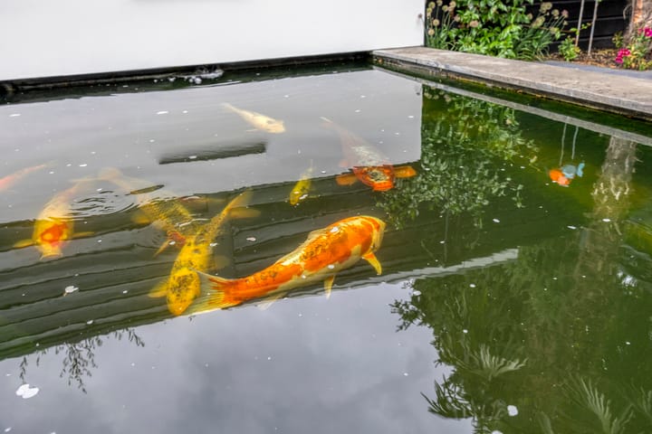 Foto 47 van Clarastraat 31