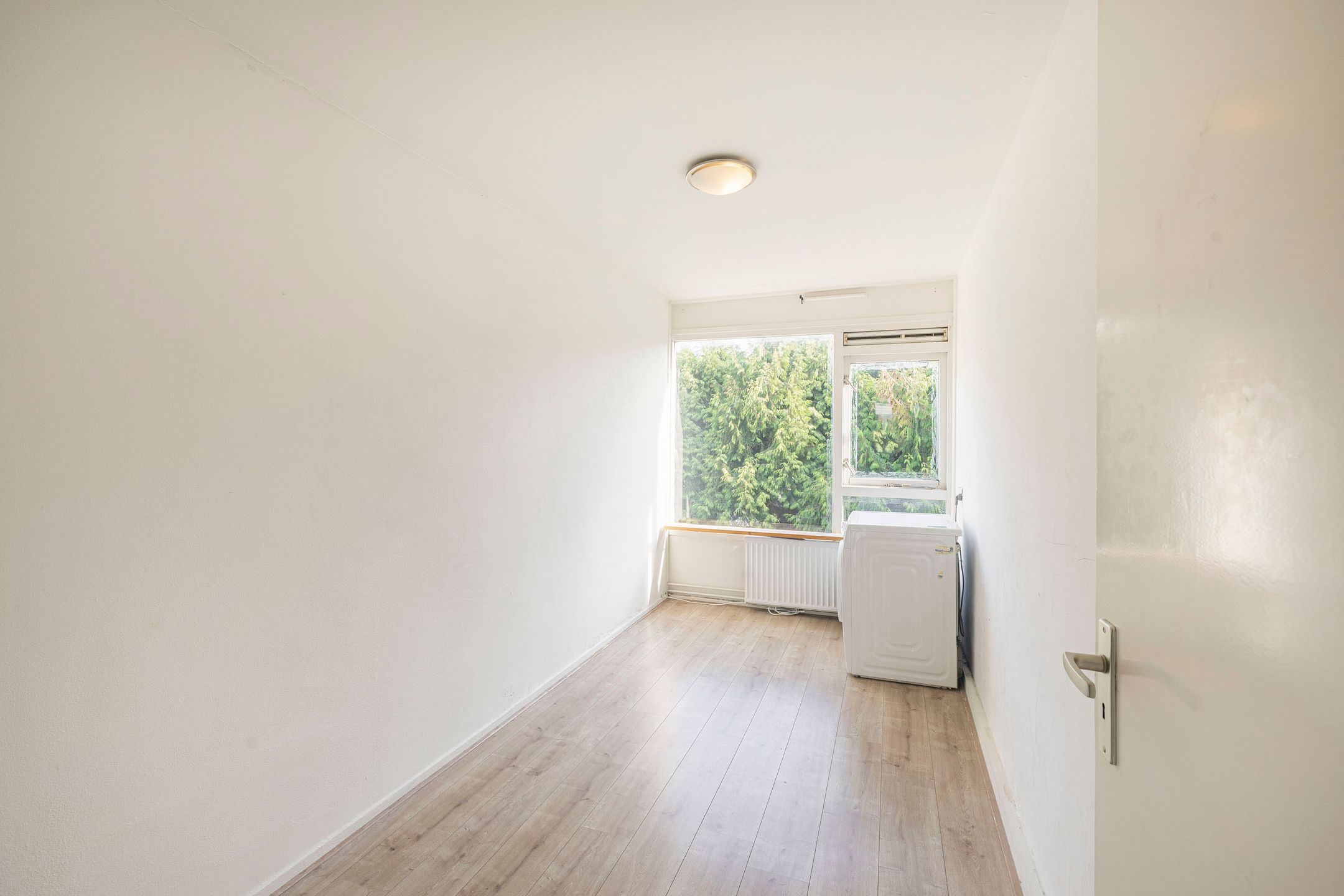 Foto 24 van Koelhorst 14